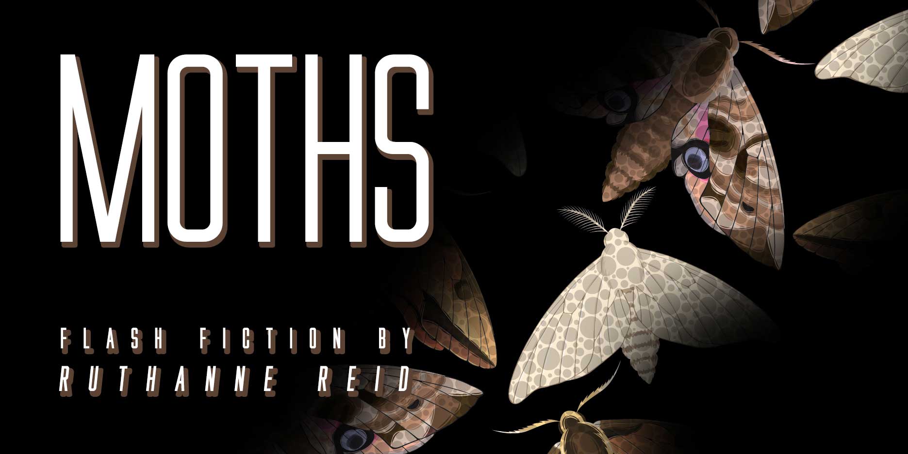 Moths: flash fiction by Ruthanne Reid