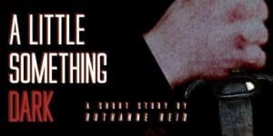 A Little Something dark: a short story by Ruthanne Reid